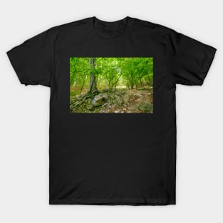 Mountain trail in the forest T-Shirt